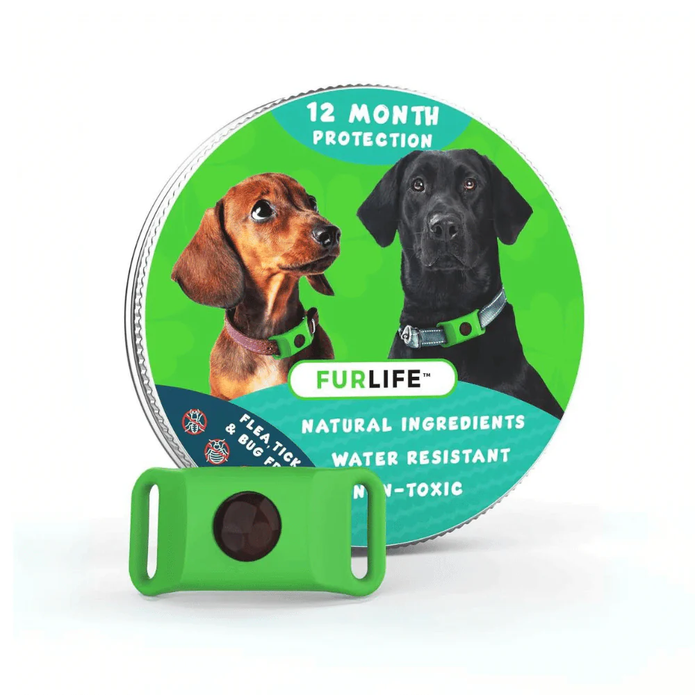Natural Flea And Tick Protection For Dogs
