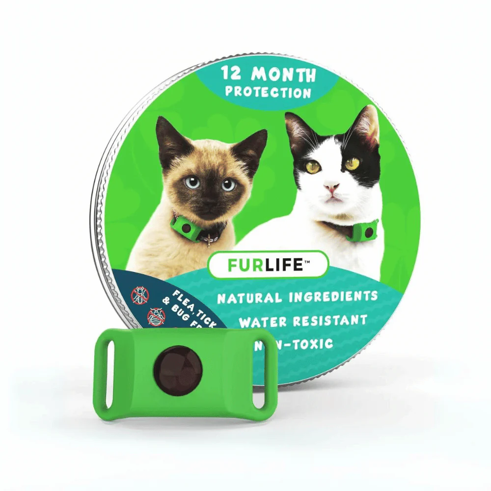 Natural Flea Tick Control Dogs
