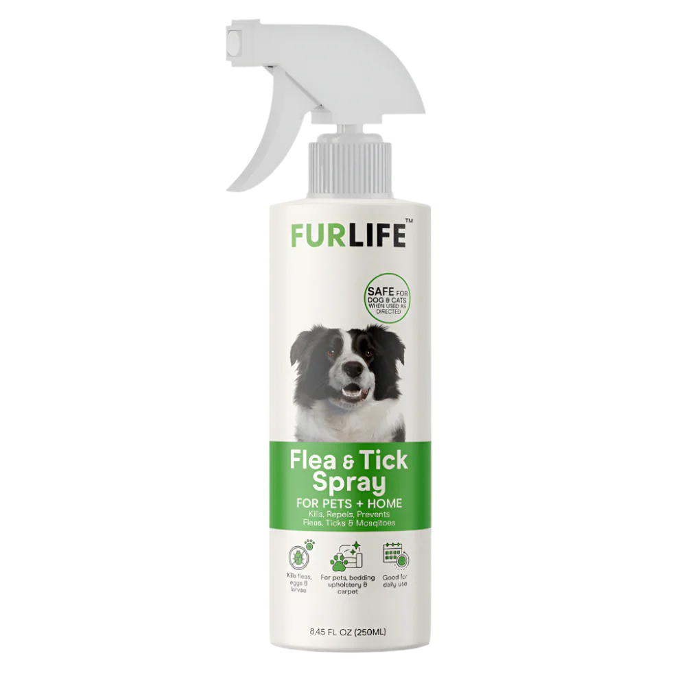 Flea And Tick Prevention For Cats